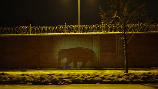 Projection of a silhouette of an elephant over a brick fence