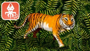 Drawing of a tiger missing some stripes with the logo of You and the Flying Squid App