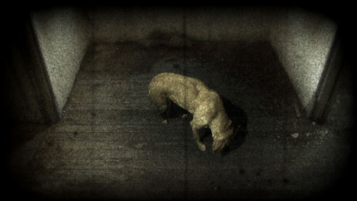 A dog in an abandoned space